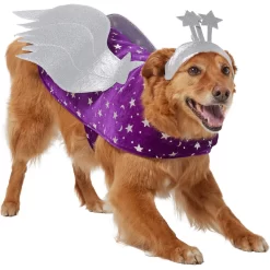 Frisco Shooting Stars Dog & Cat Costume