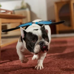 Frisco Magical Butterfly Wings Dog & Cat Costume Accessory -Frisco 713062 PT7. AC SS1800 V1689354962