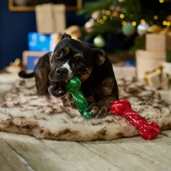 Frisco Holiday Naughty & Nice TPR Bone Squeaky Dog Toy -Frisco 739702 PT3. AC SS1800 V1694812786