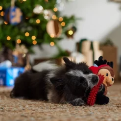 Frisco Holiday Reindeer Plush With TPR Ring Squeaky Puppy Toy -Frisco 739958 PT3. AC SS1800 V1695046549