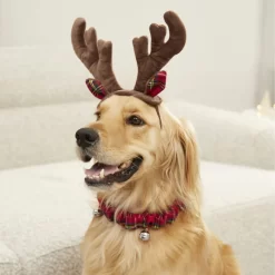Frisco Jingle Bells Dog & Cat Holiday Collar With Bells, 1 Count & Frisco Holiday Antler Headband & Bell Collar Dog & Cat Costume -Frisco 986294 PT7. AC SS1800 V1698258404